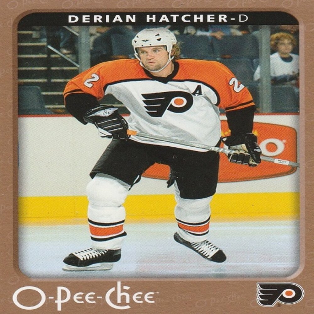 Derian Hatcher - 2006/2007 O Pee Chee Hockey Card